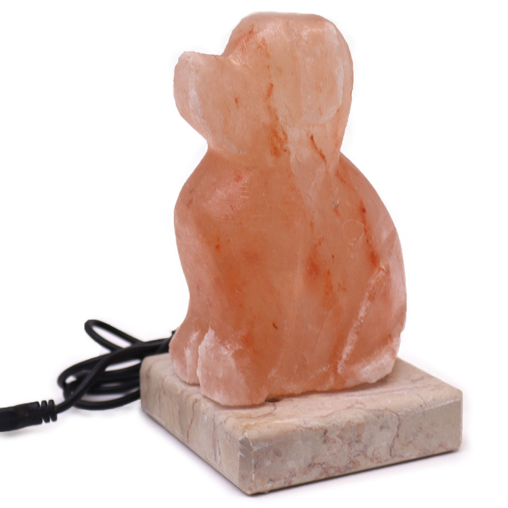 usb-dog-shaped-multi427