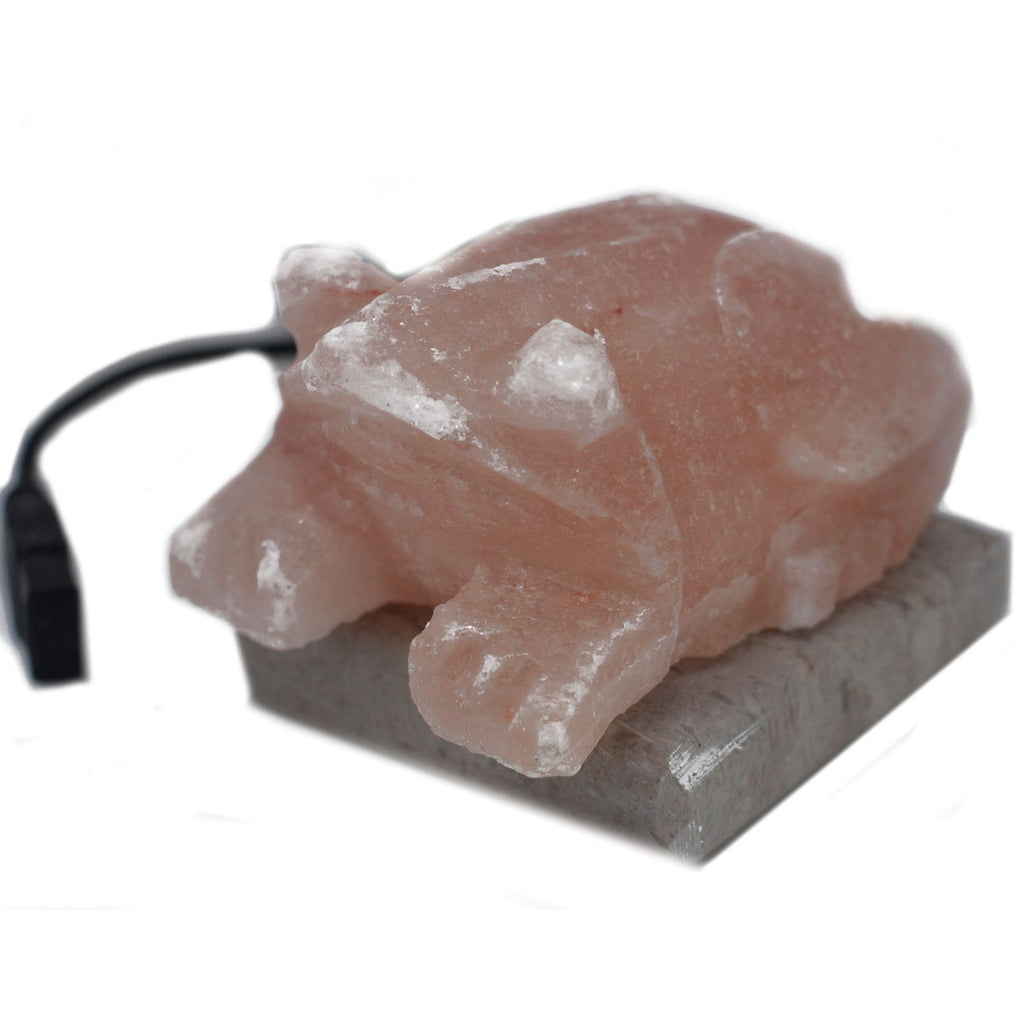 usb-toad-shaped-multi420