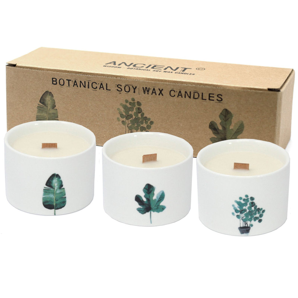 med-botanical-candles-lemon-honeysuckle096