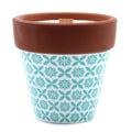 agnes-cat-herb-garden-candles-rosemary115