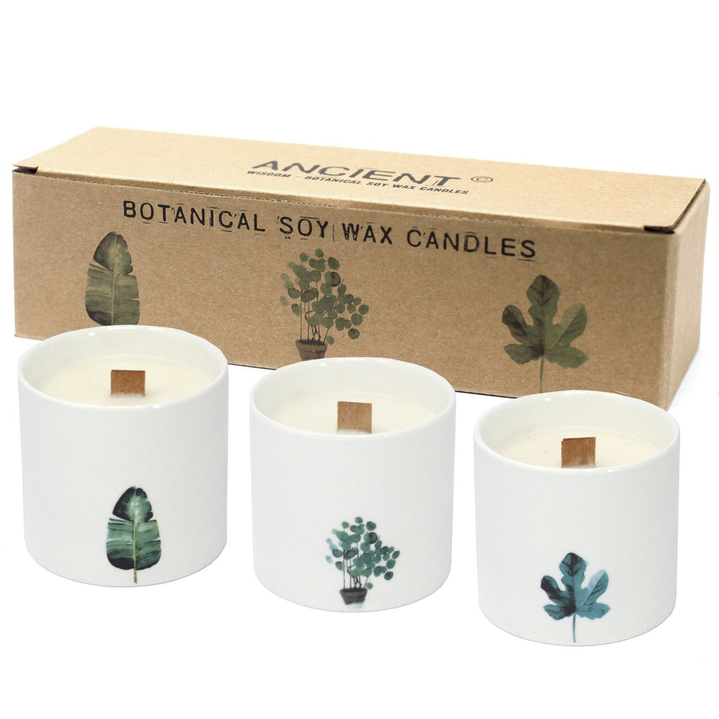 large-botanical-candles-victorian-peony091