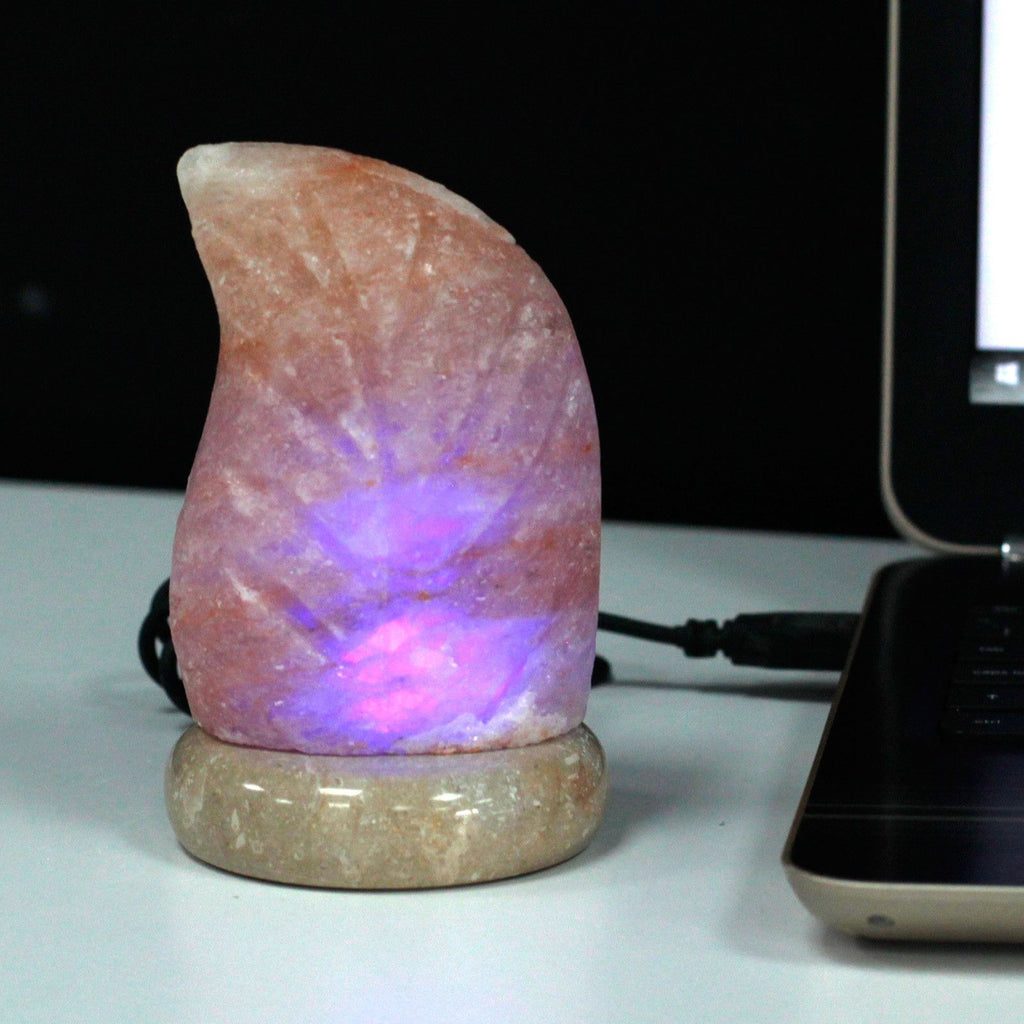 usb-leaf-shaped-multi417
