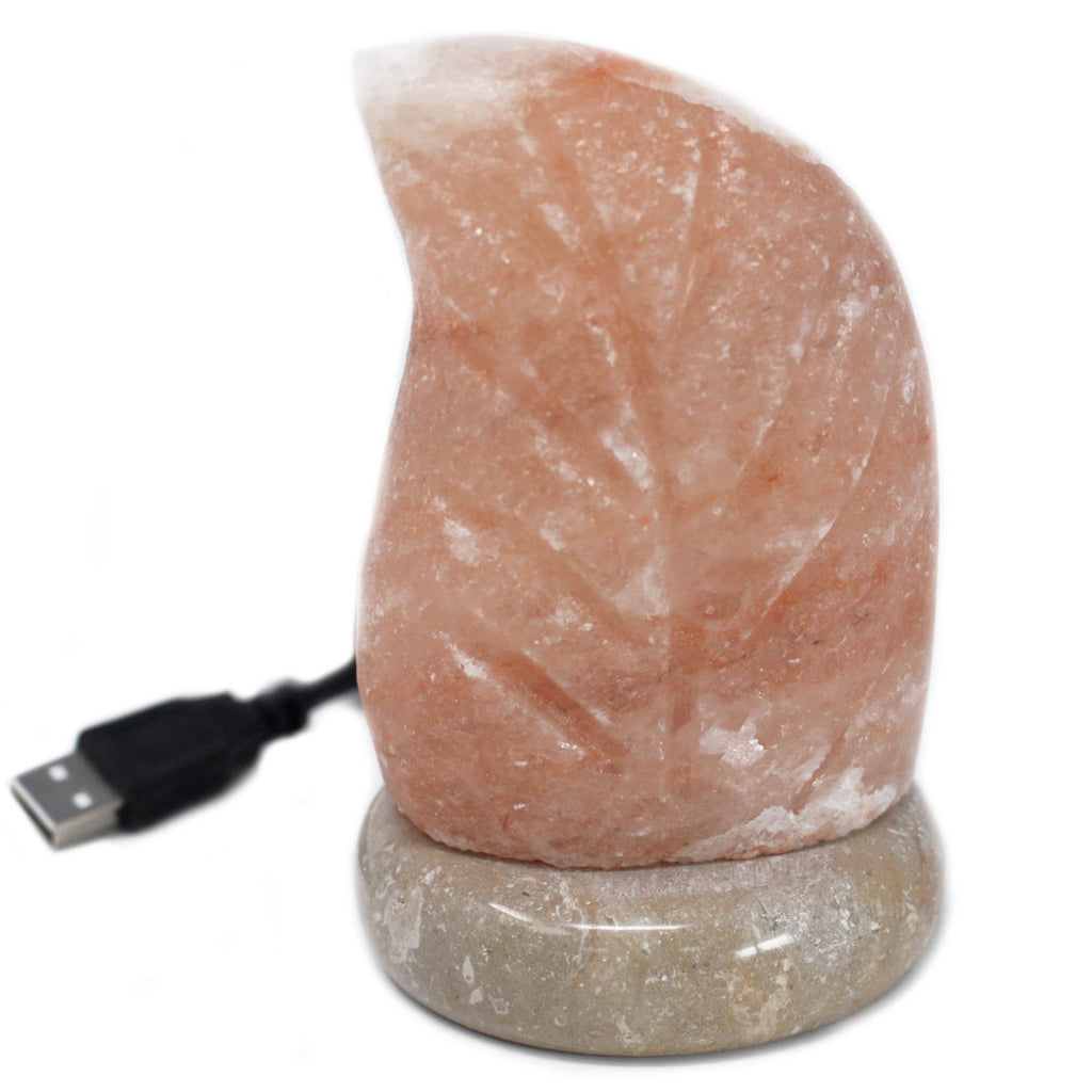 usb-leaf-shaped-multi417