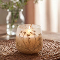 medium-glass-jar-candles-wildlight-woods072