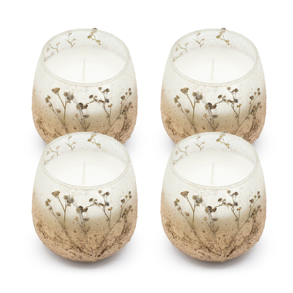 medium-glass-jar-candles-wildlight-woods072