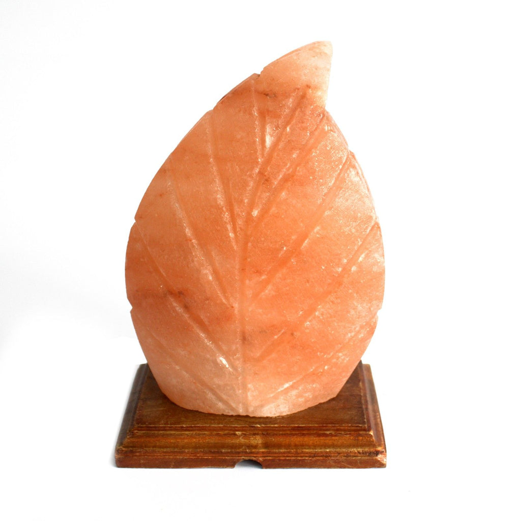 shape-salt-lamp-fern425