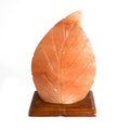 shape-salt-lamp-fern425