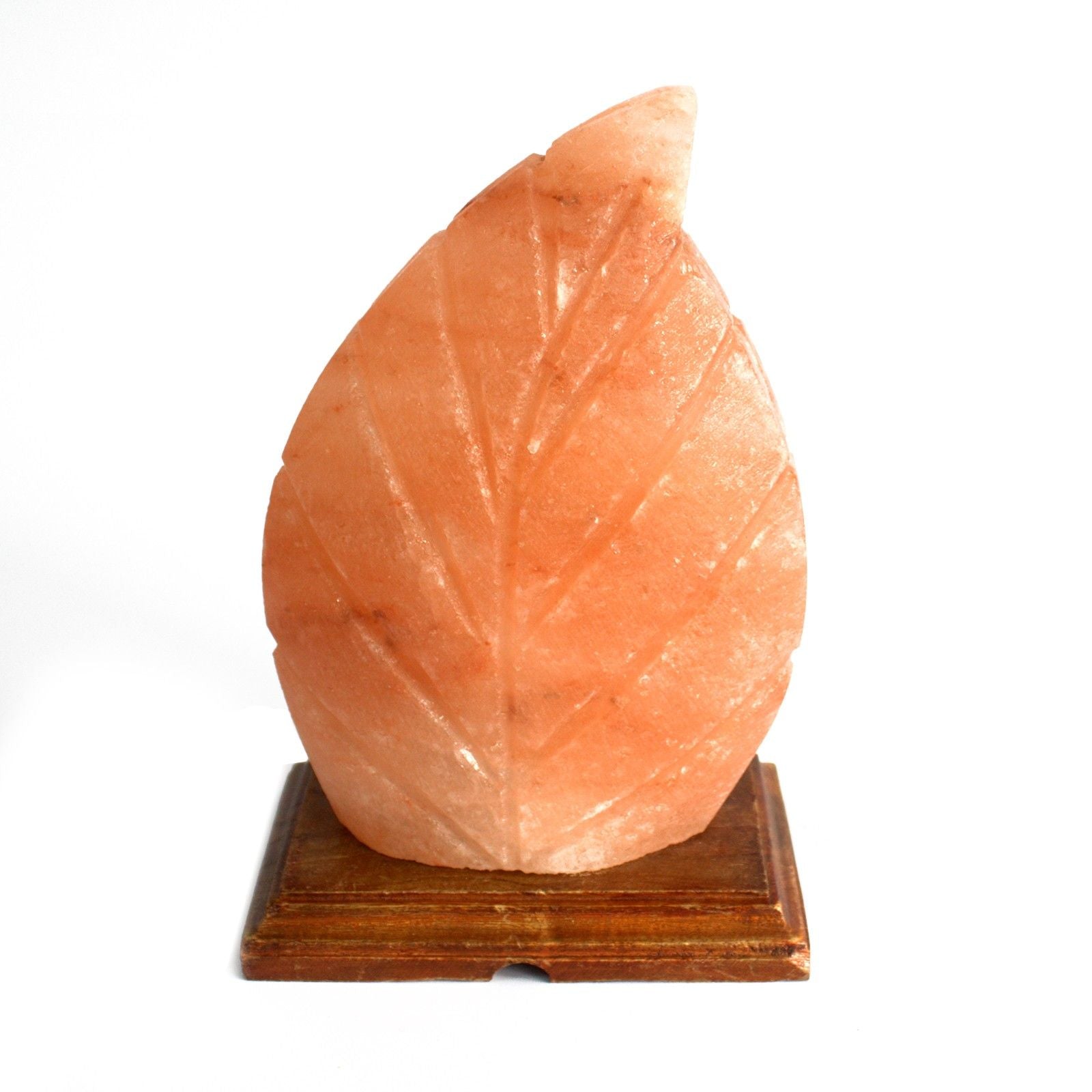 shape-salt-lamp-fern425