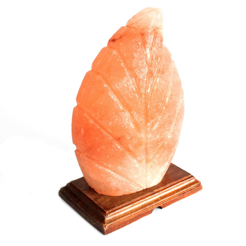 shape-salt-lamp-fern425