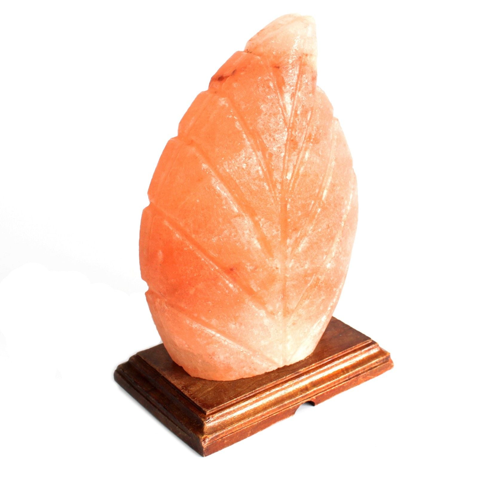 shape-salt-lamp-fern425
