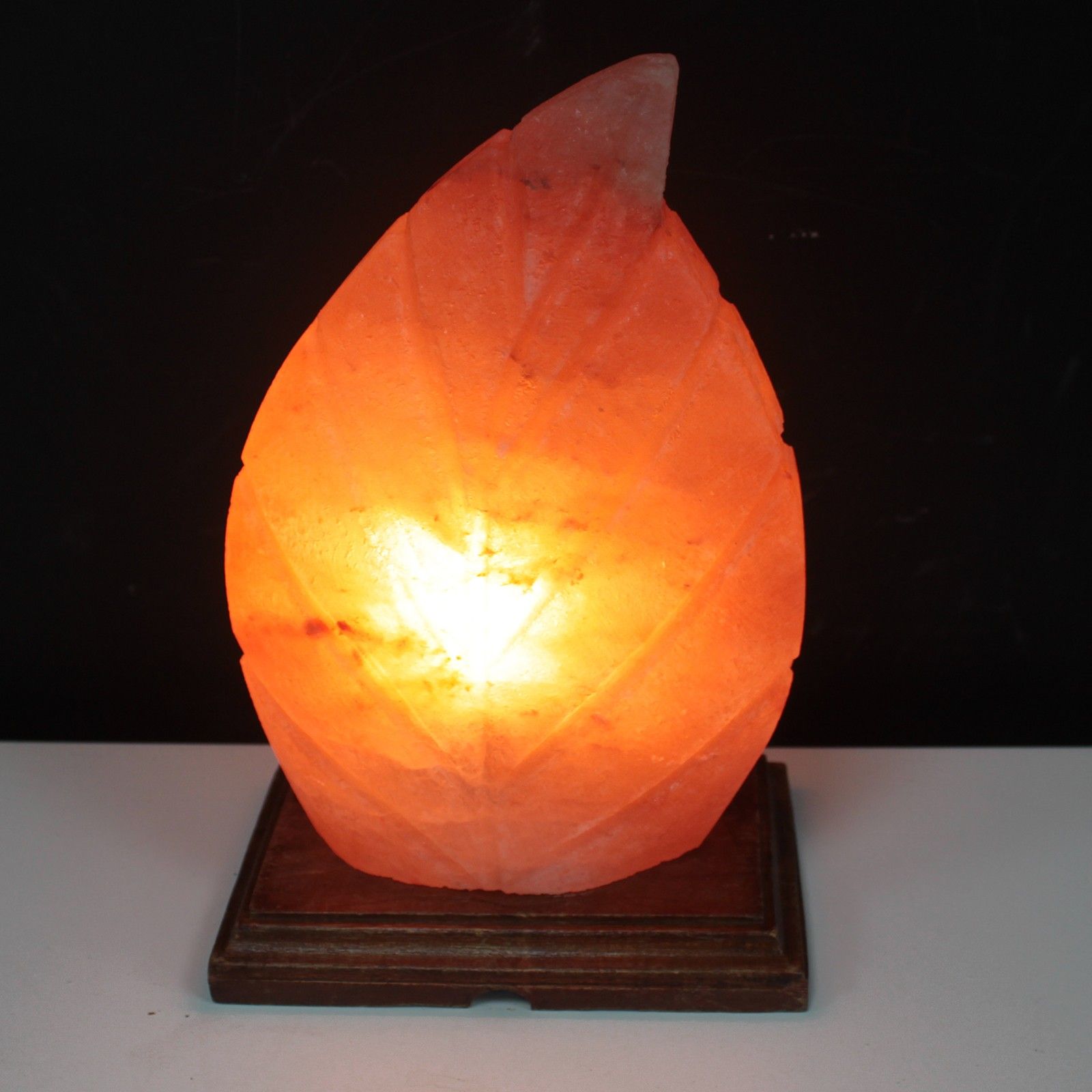 shape-salt-lamp-fern425