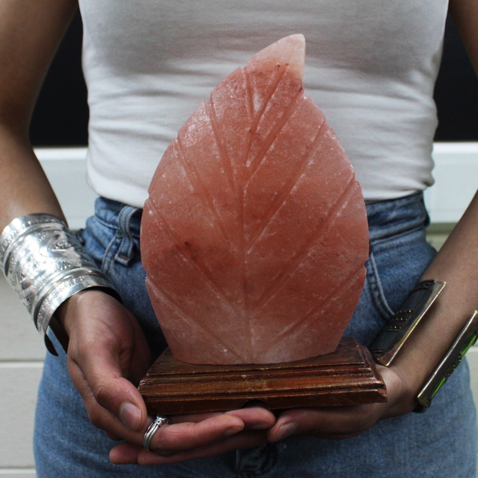 shape-salt-lamp-fern425