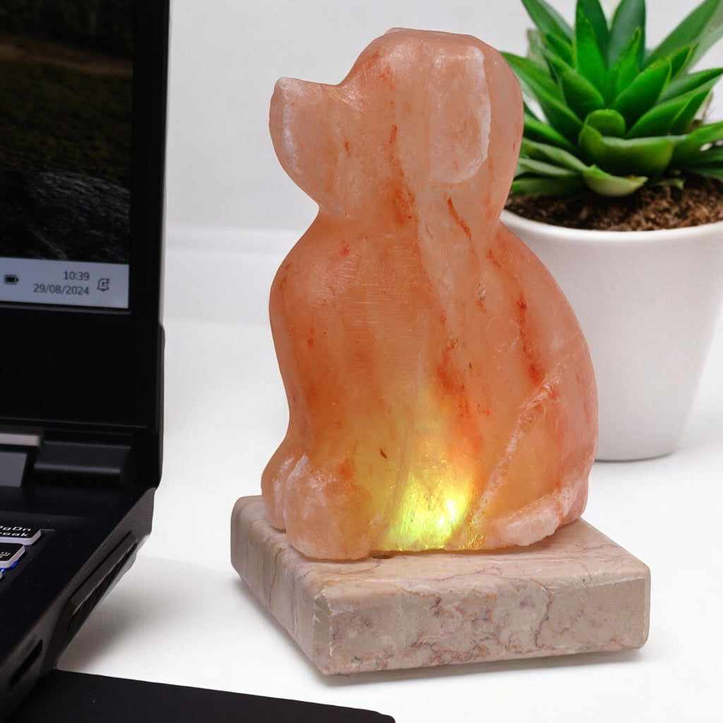usb-dog-shaped-multi427