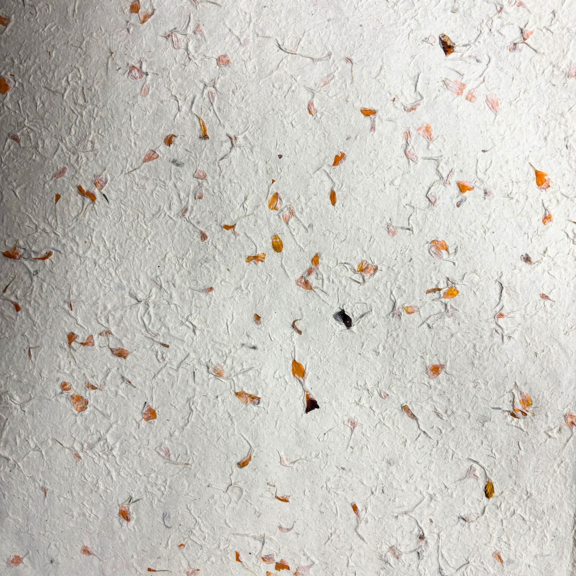 lokta-craft-wrapping-paper-51x76cm-marigold647