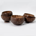 small-natural-coconut-bowl015