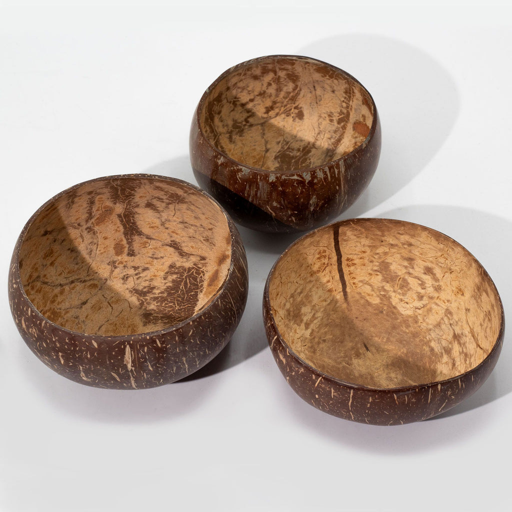 large-natural-coconut-bowl009