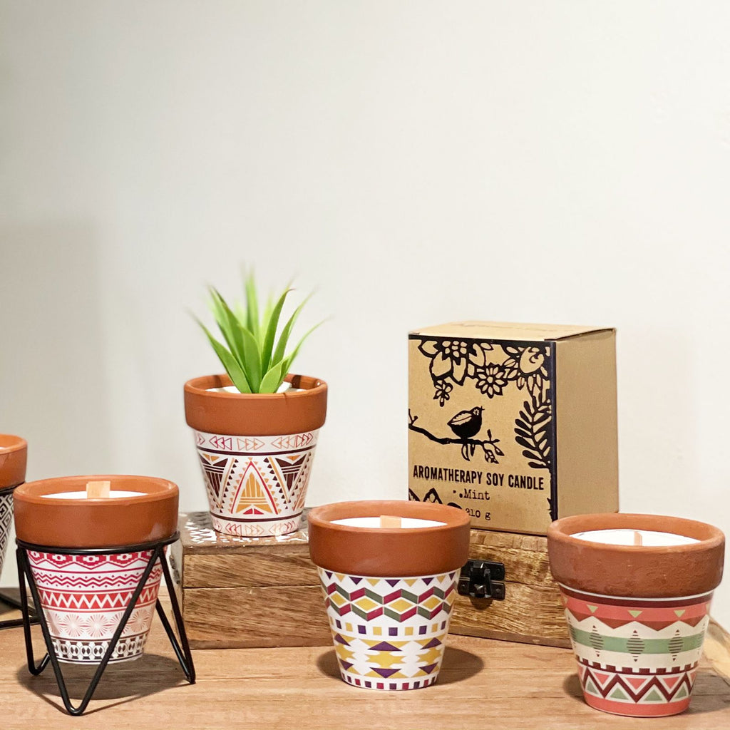 agnes-cat-herb-garden-candles-clove114