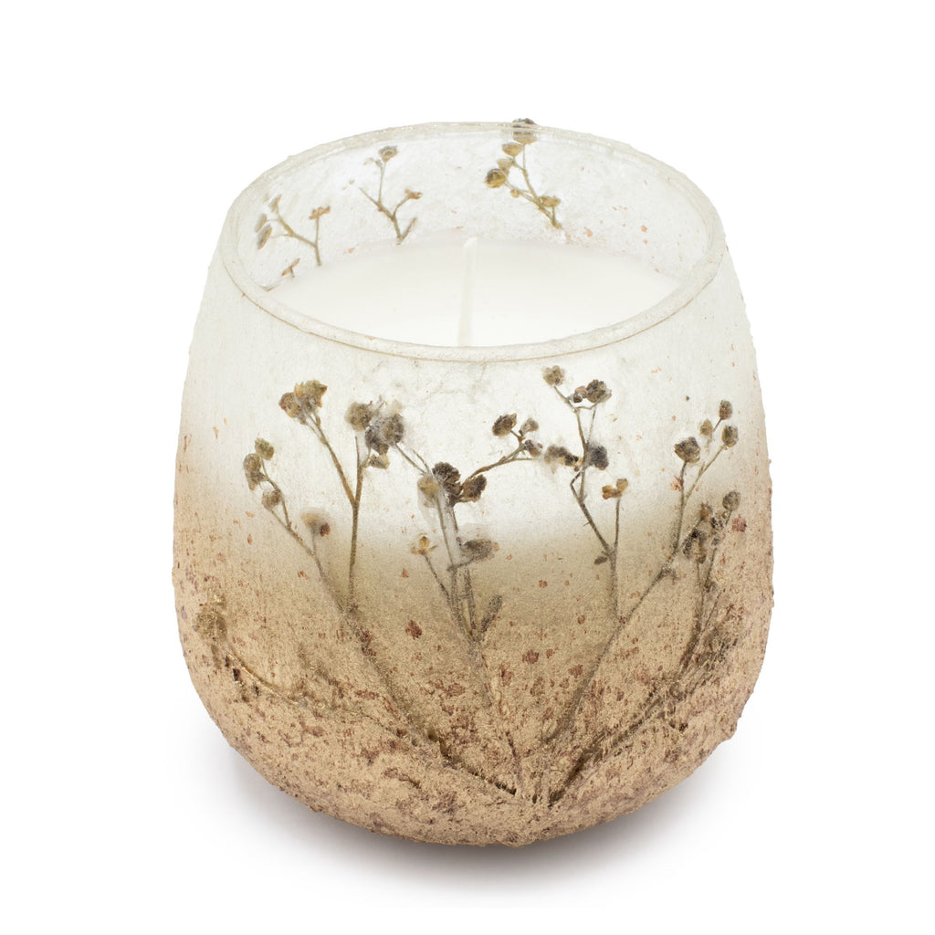 medium-glass-jar-candles-wildlight-woods072